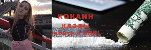 spice Алексин