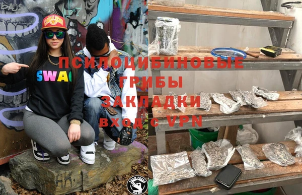 spice Алексин