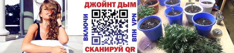 продажа наркотиков  Углич  Каннабис Amnesia 