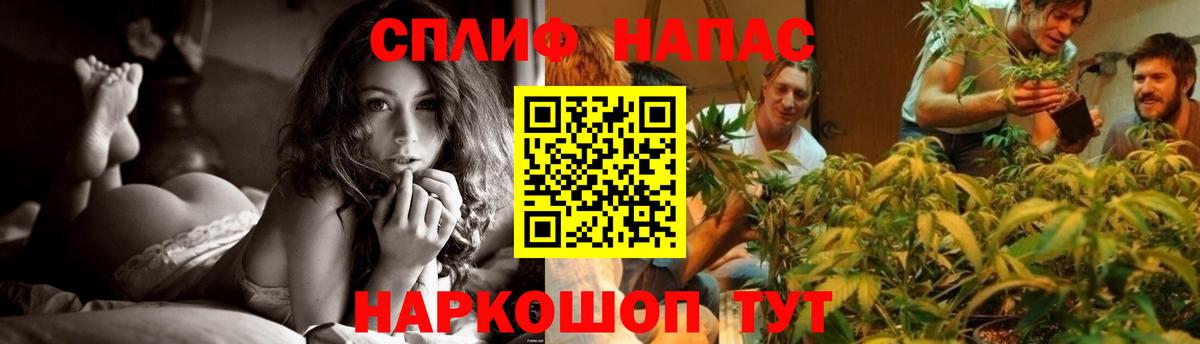 Углич  Марихуана White Widow  Бошки Шишки планчик  Марихуана гибрид  Вход с VPN 